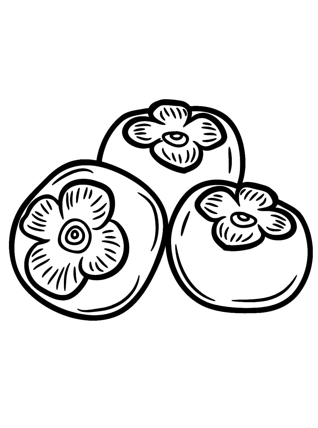 ระบายสี ลูกพลับเพื่อสุขภาพ