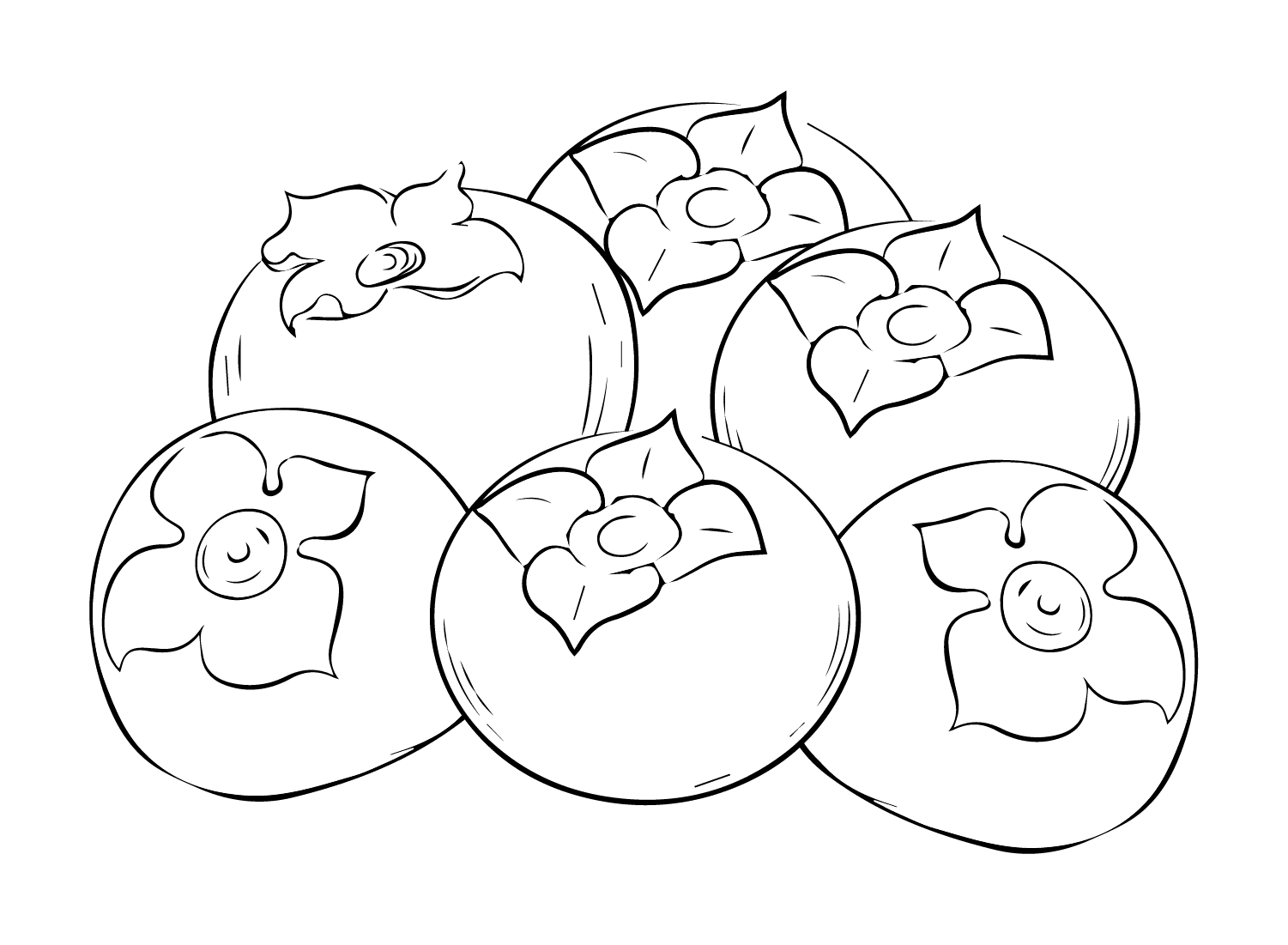 ระบายสี ลูกพลับที่พิมพ์ได้