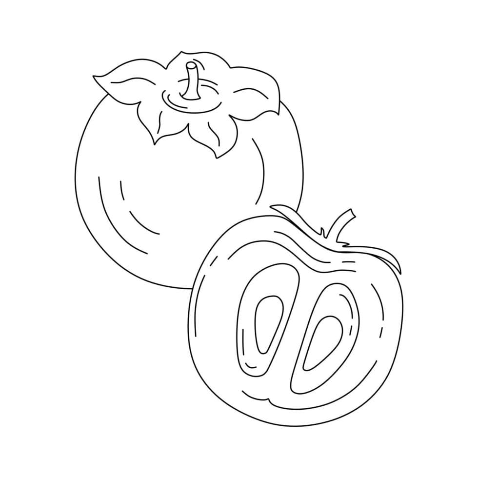 ระบายสี ลูกพลับธรรมดา