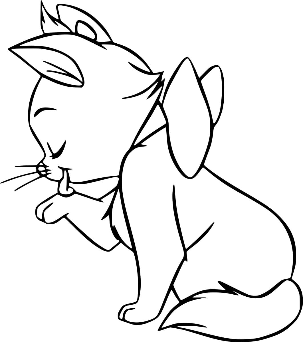 ระบายสี มารีเลียมือของเธอ