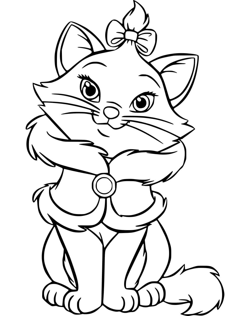 ระบายสี แมวเหมียวพเนจร