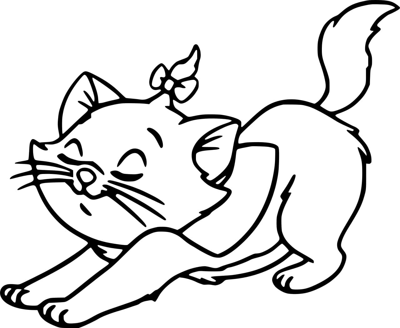 ระบายสี มารี สเตรทชิ่ง