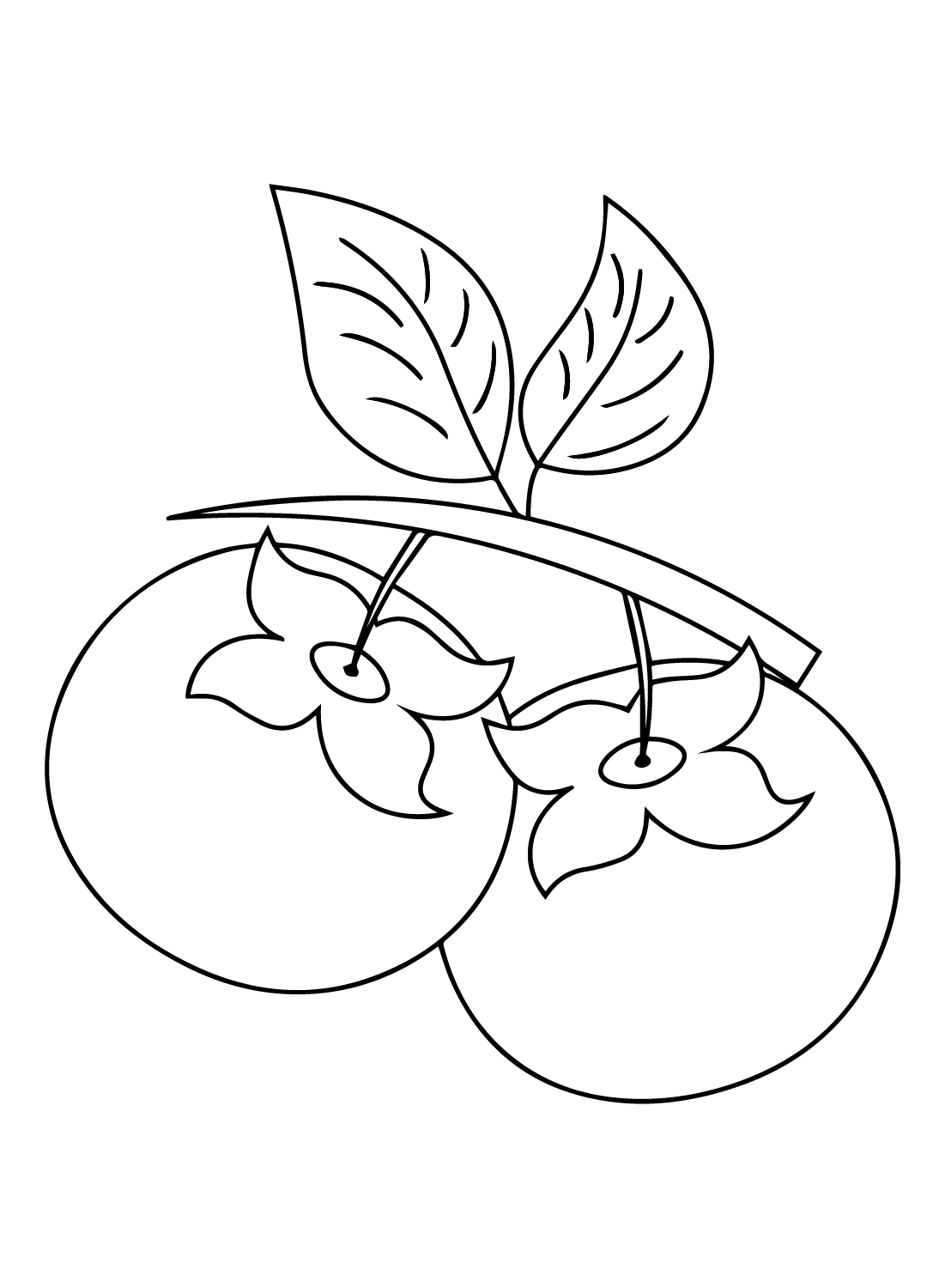 ระบายสี ภาพลูกพลับ