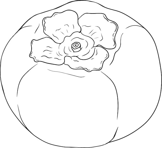 ระบายสี ภาพวาดลูกพลับ