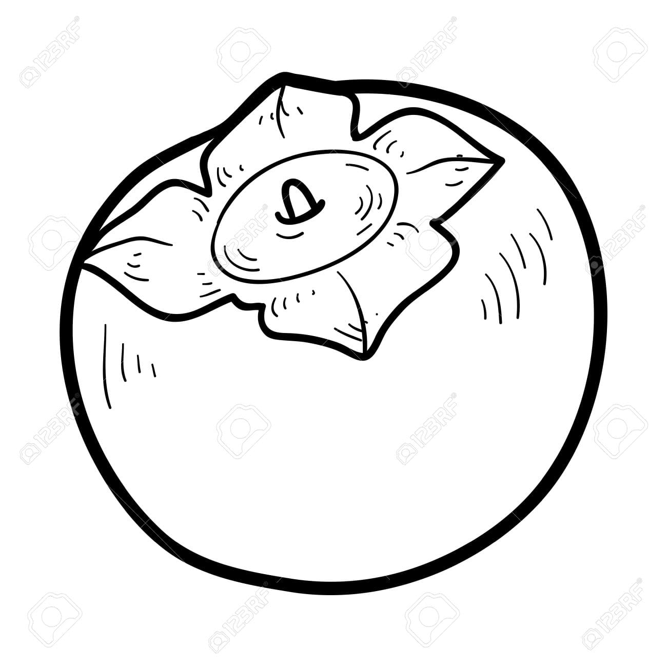 ระบายสี พิมพ์ลูกพลับฟรี