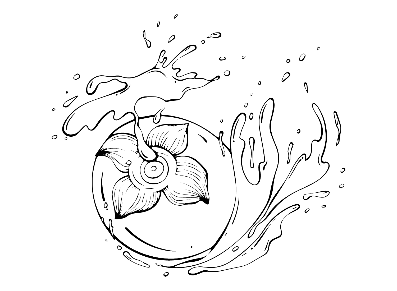 ระบายสี พิมพ์ลูกพลับ