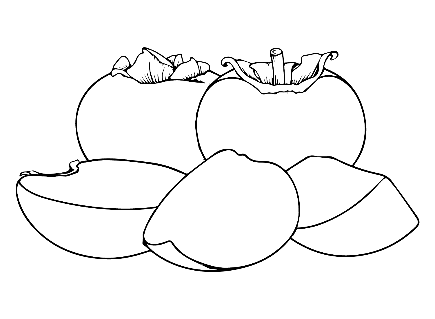 ระบายสี ผลไม้ลูกพลับ