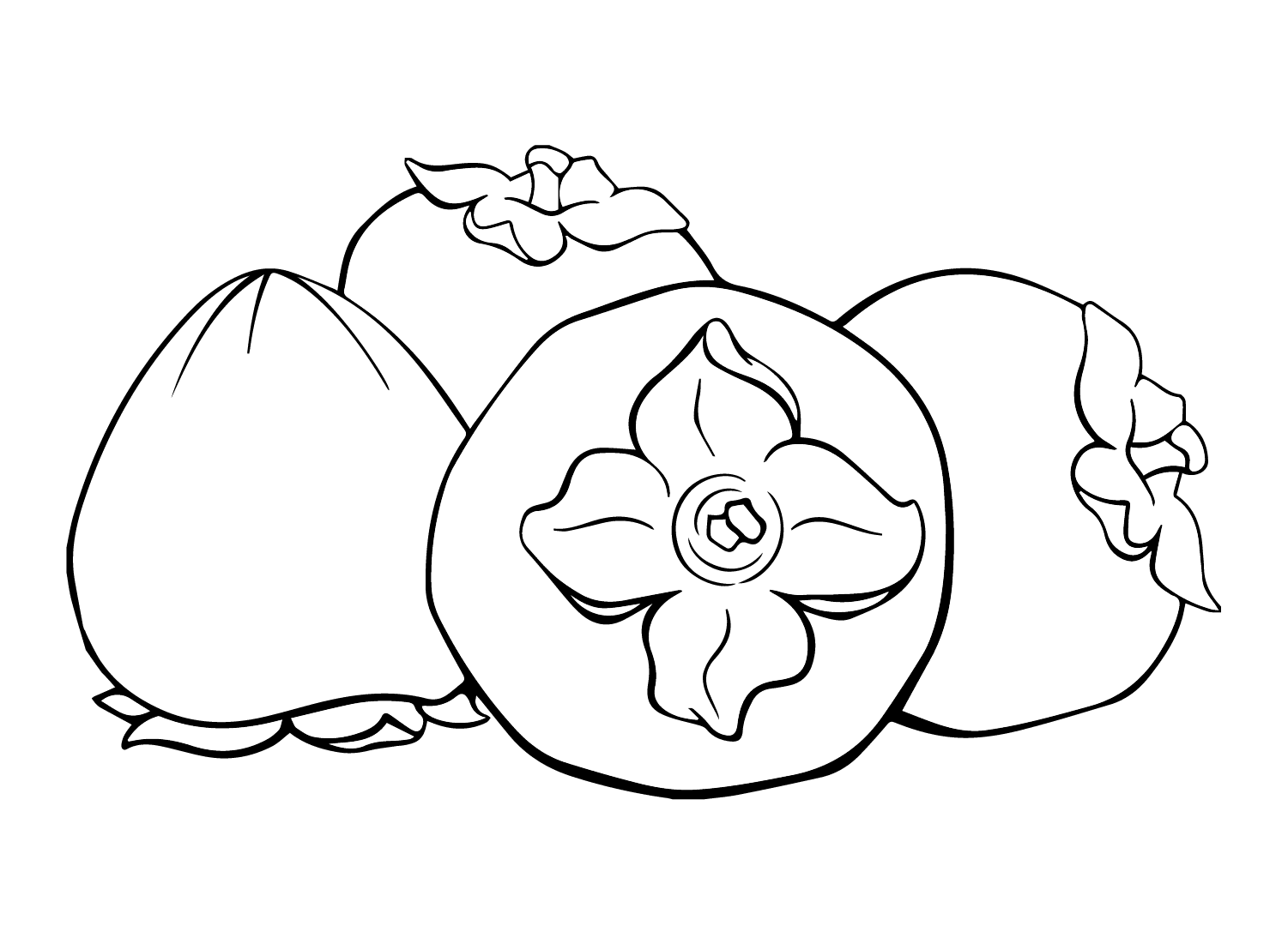 ระบายสี รูปภาพลูกพลับฟรี