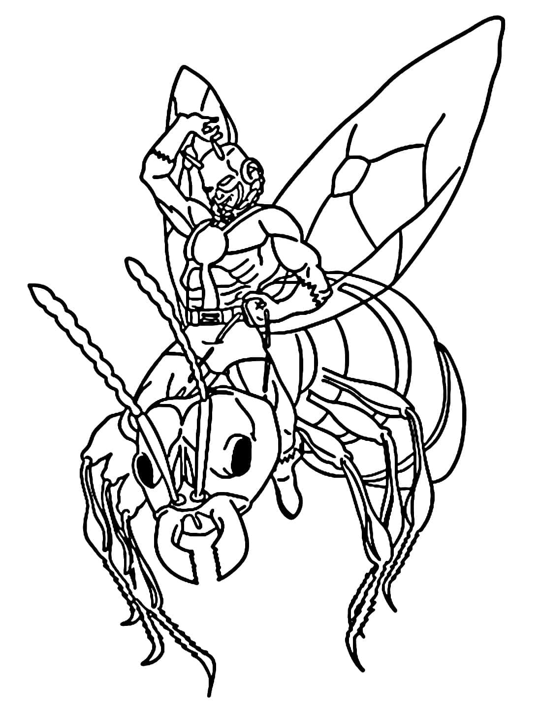 ระบายสี แอนท์แมนกับแอนท์