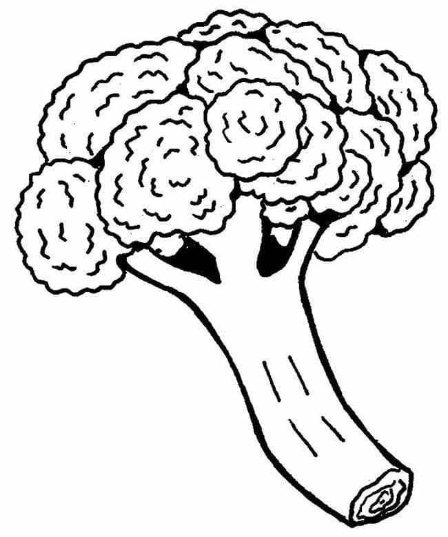 ระบายสี บร็อคโคลี่ฟรีสำหรับ