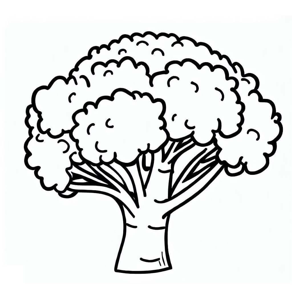 ระบายสี บร็อคโคลี่เป็นอาหารเพื่อสุขภาพ