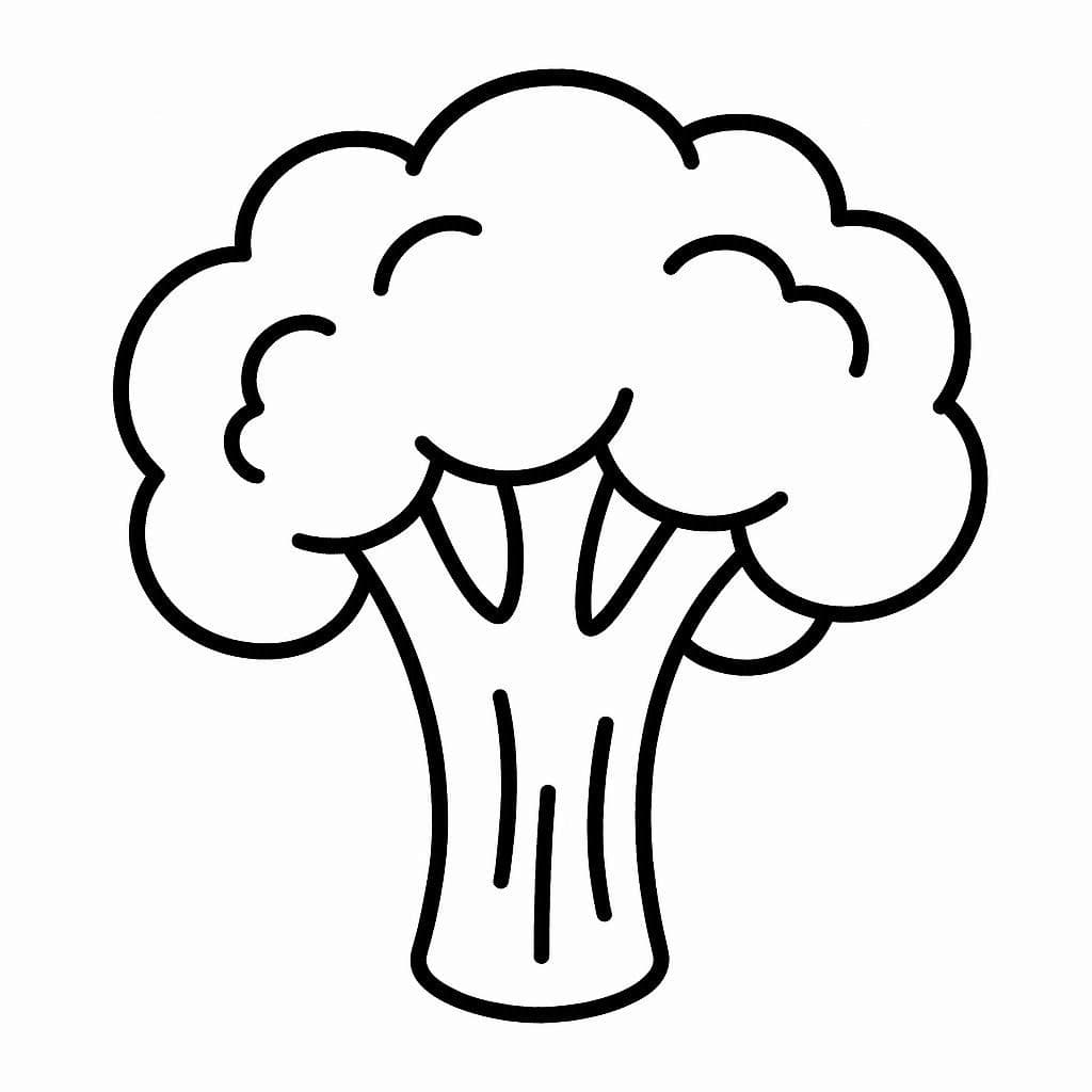 ระบายสี บร็อคโคลี่เพื่อสุขภาพ