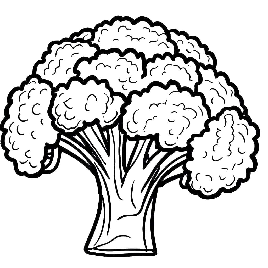 ระบายสี บร็อคโคลี่สีเขียว