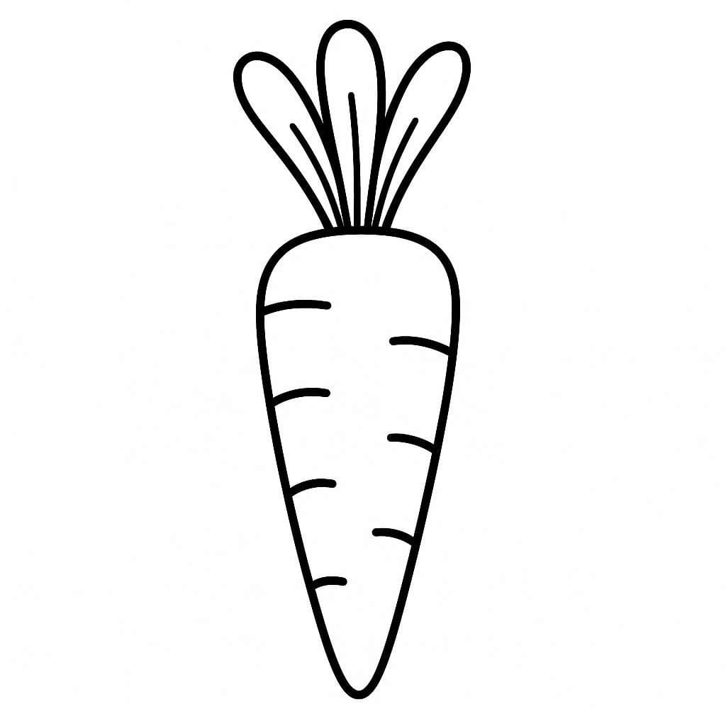 ระบายสี แครอทง่าย ๆ