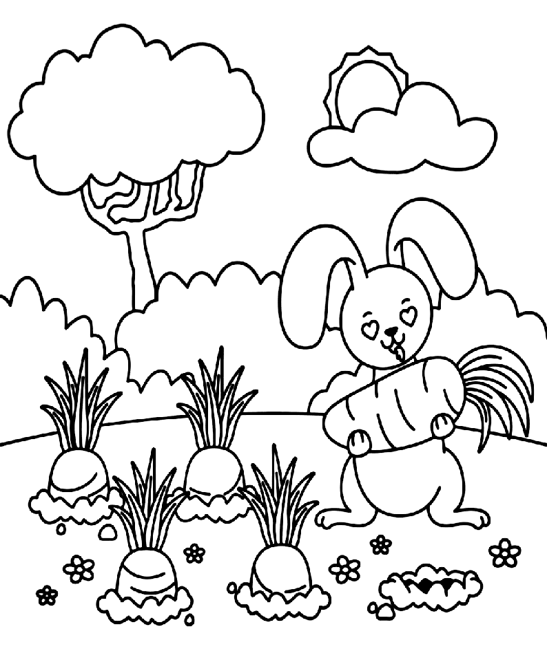 ระบายสี แครอทในสวน