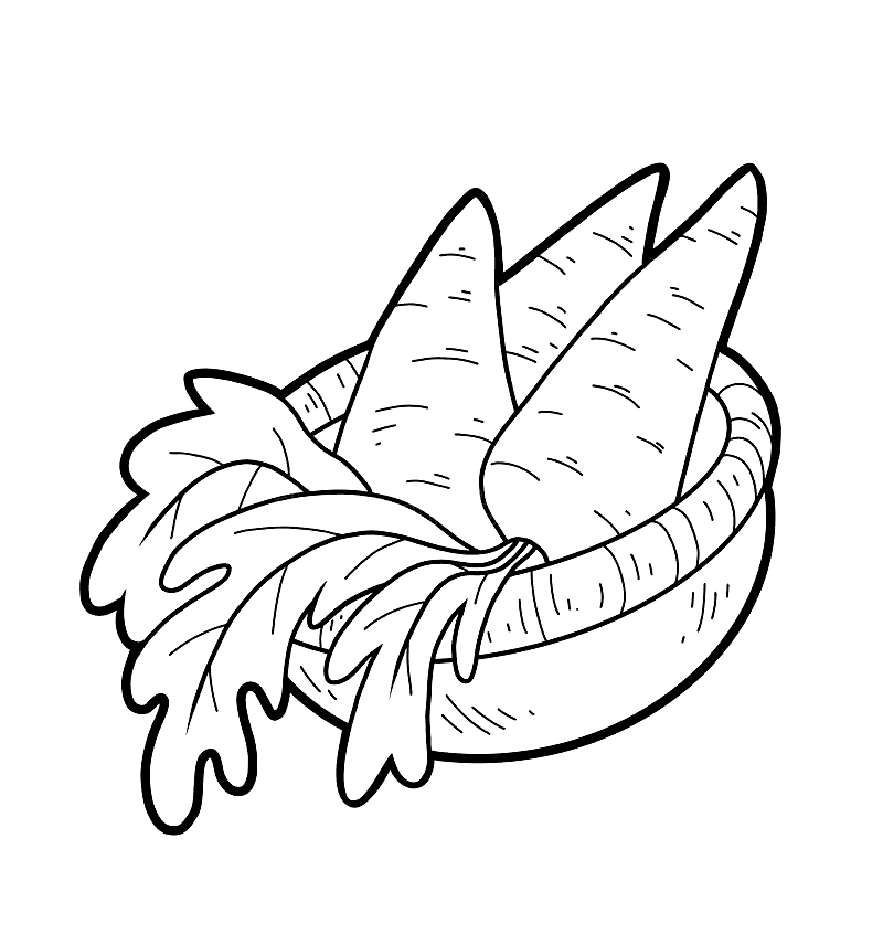 ระบายสี แครอทในตะกร้า