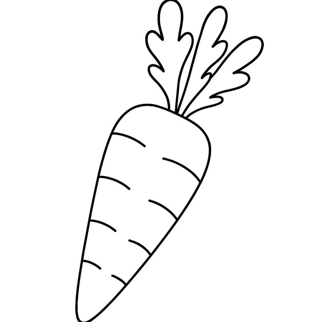 ระบายสี แครอทพิมพ์ได้