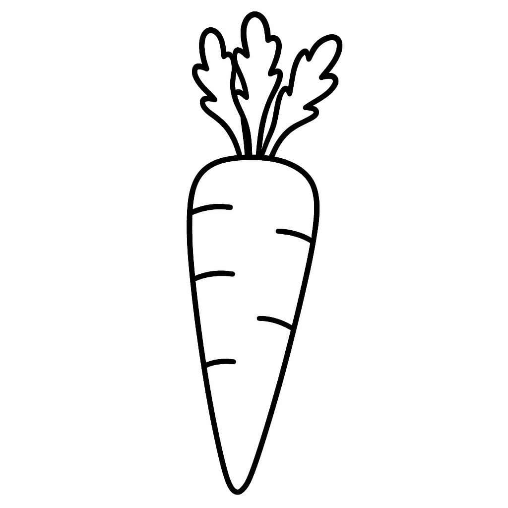 ระบายสี แครอท รูปภาพฟรี