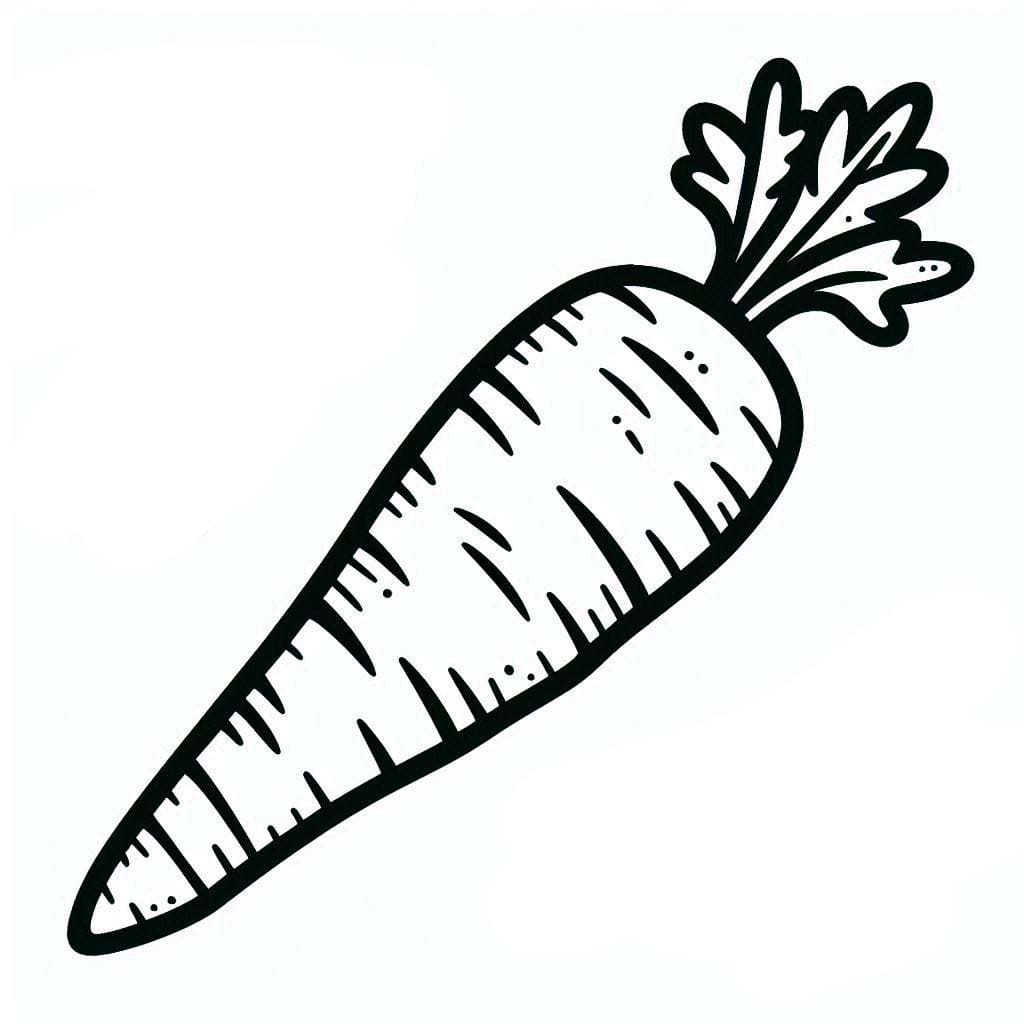 ระบายสี แครอทสำหรับเด็ก