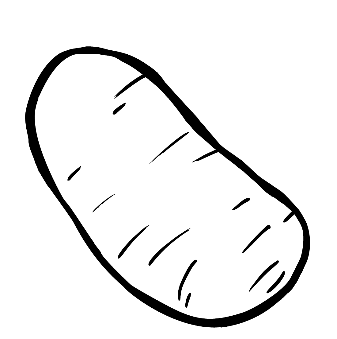 ระบายสี มันฝรั่งฟรี