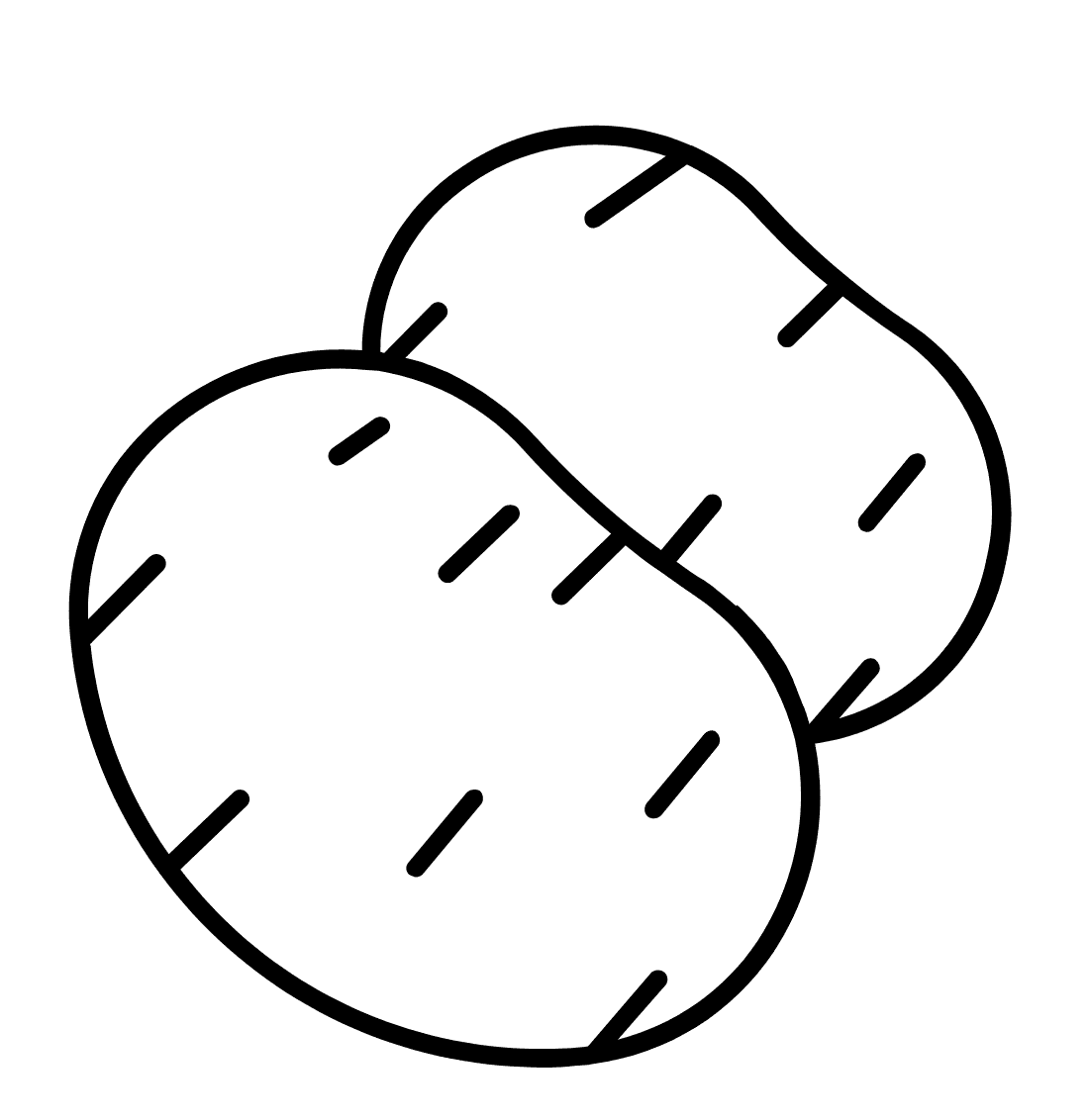 ระบายสี มันฝรั่งสด