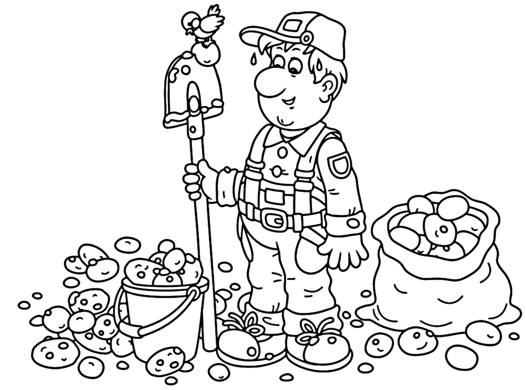 ระบายสี มันฝรั่งอร่อย