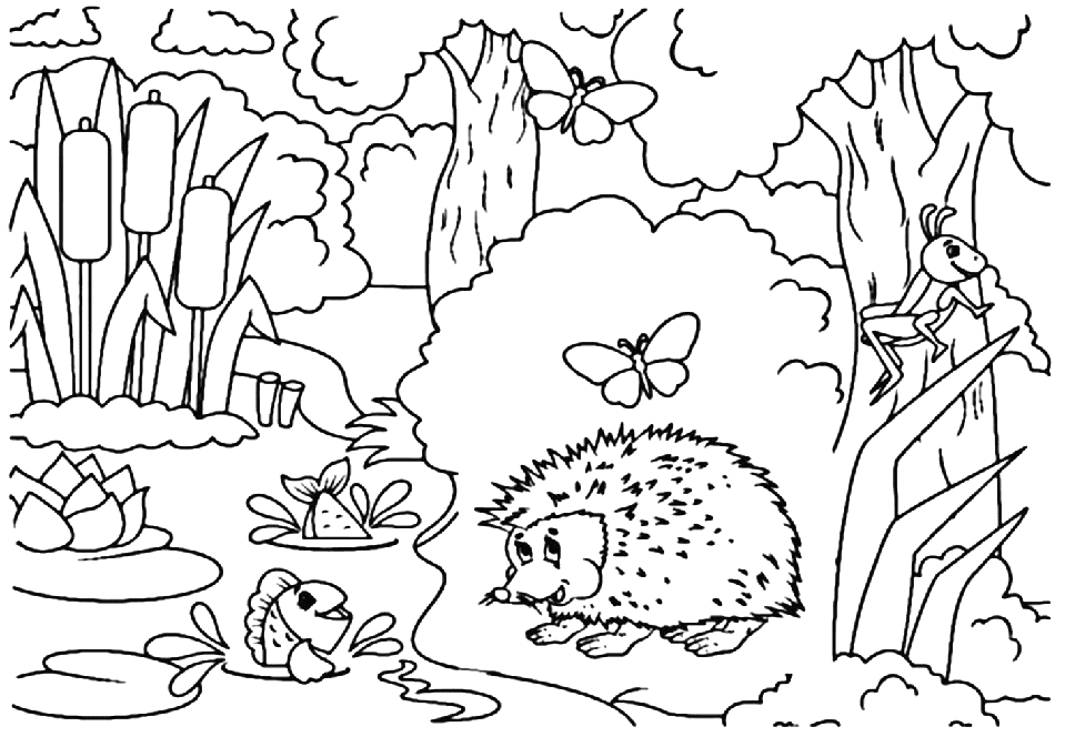 ระบายสี เม่นสำหรับเด็กก่อนวัยเรียน