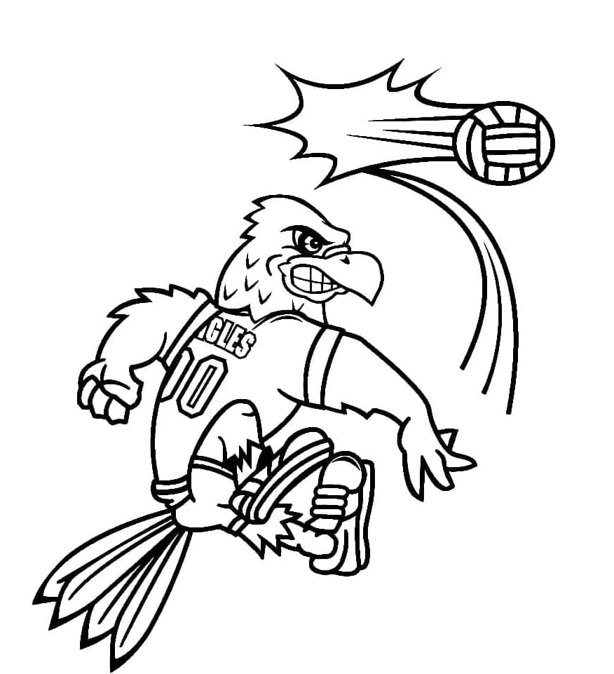 ระบายสี นกเล่นวอลเลย์บอล