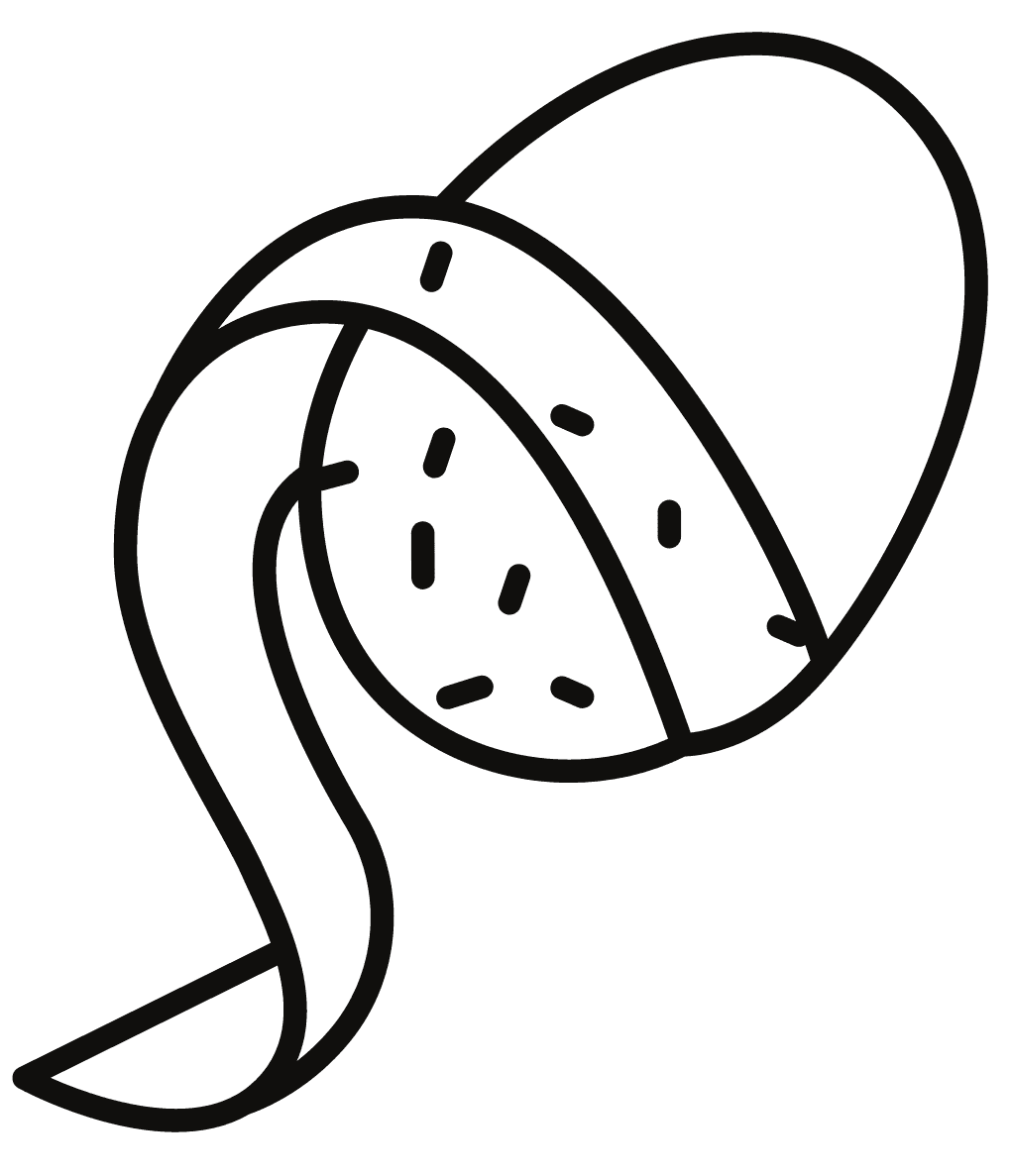 ระบายสี เปลือกมันฝรั่ง