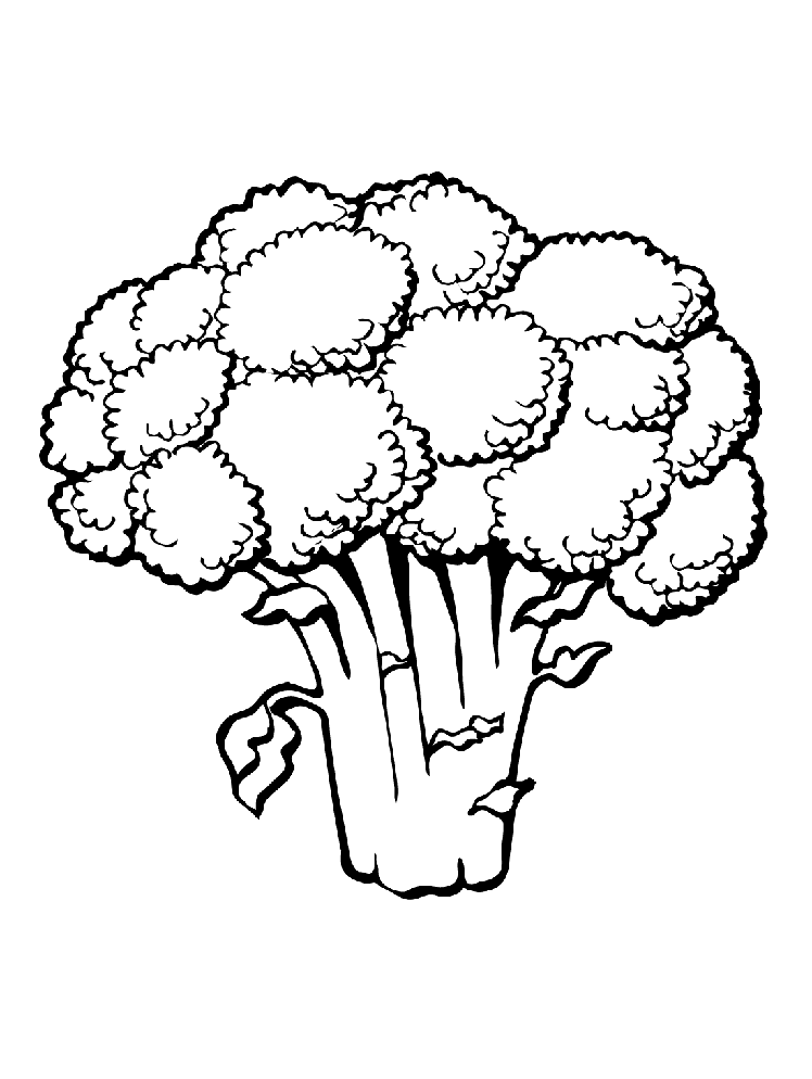 ระบายสี ภาพบร็อคโคลี่สีเขียว