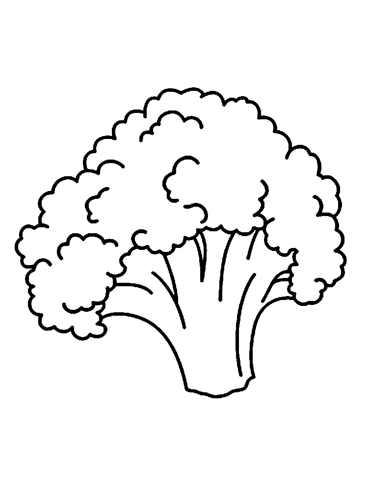 ระบายสี ผักบร็อคโคลี่