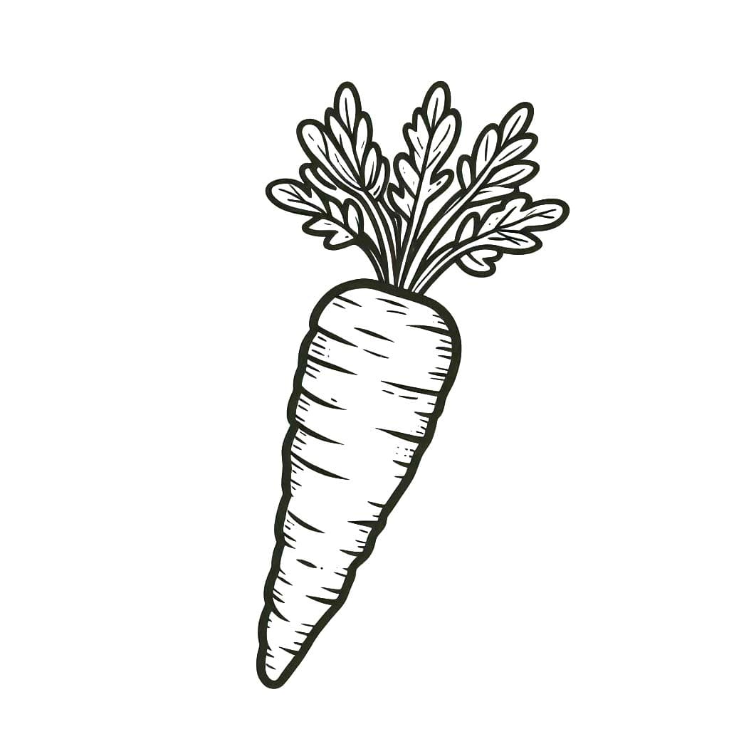 ระบายสี ภาพแครอท