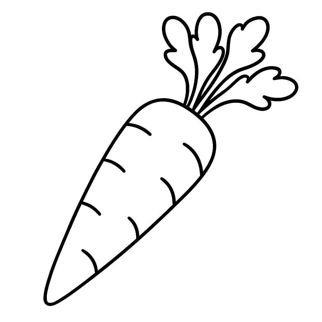 ระบายสี แครอท