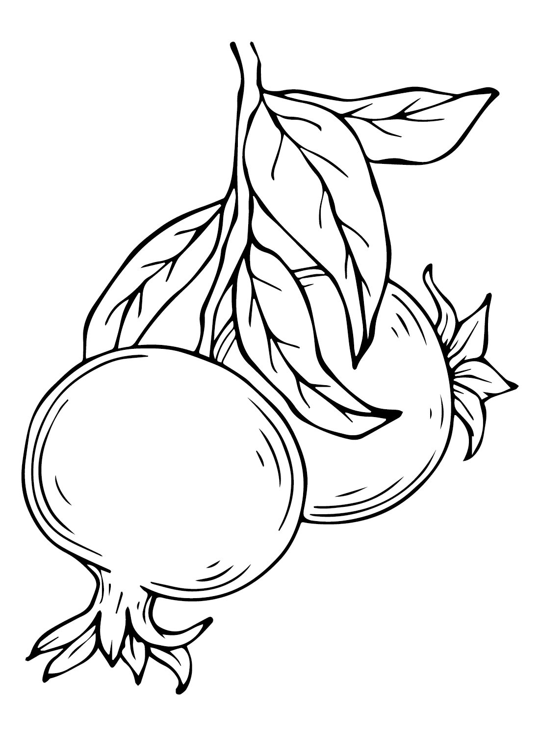 ระบายสี ทับทิมสองลูก