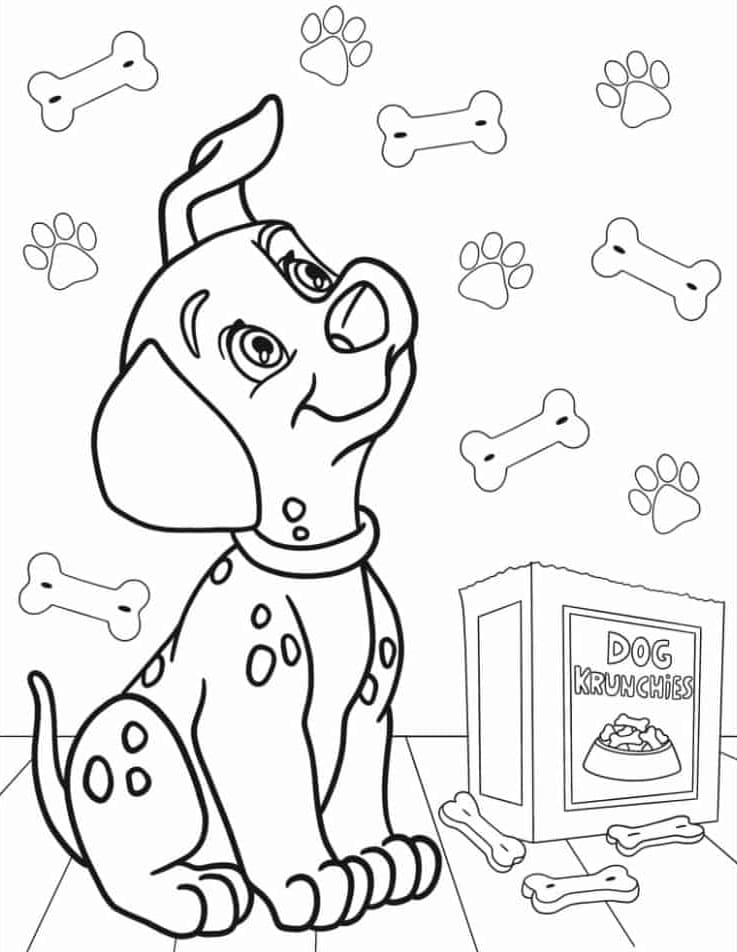 ระบายสี ทรามวัยกับไอ้ด่าง โชคดี