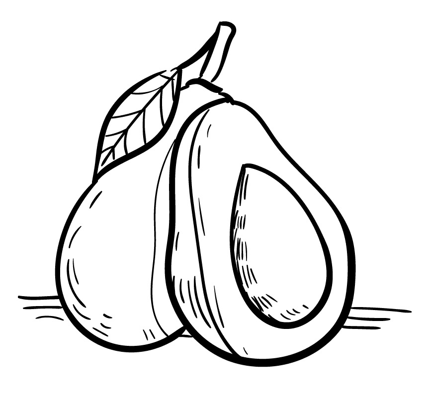 ระบายสี อะโวคาโดสองลูก