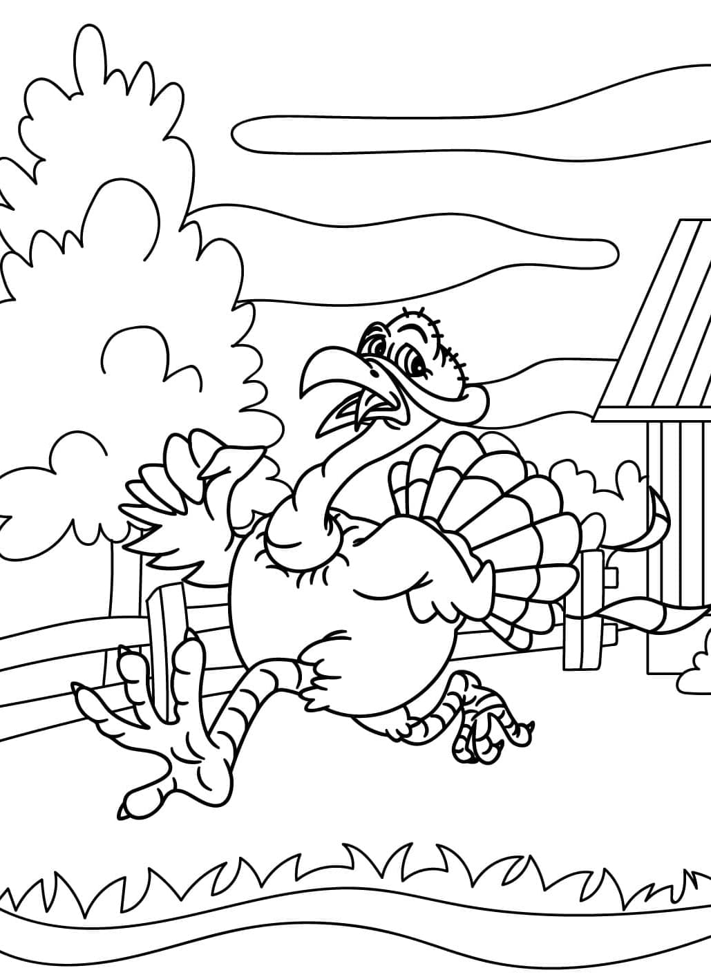 ระบายสี ไก่งวงหนี