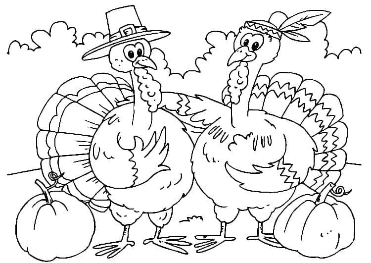 ระบายสี ไก่งวงสองตัวที่น่าทึ่ง