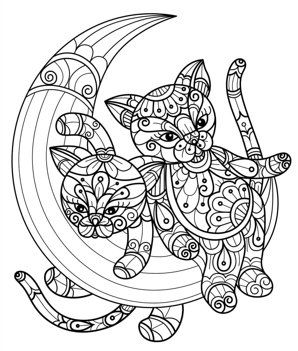 ระบายสี แมวสองตัวบนดวงจันทร์