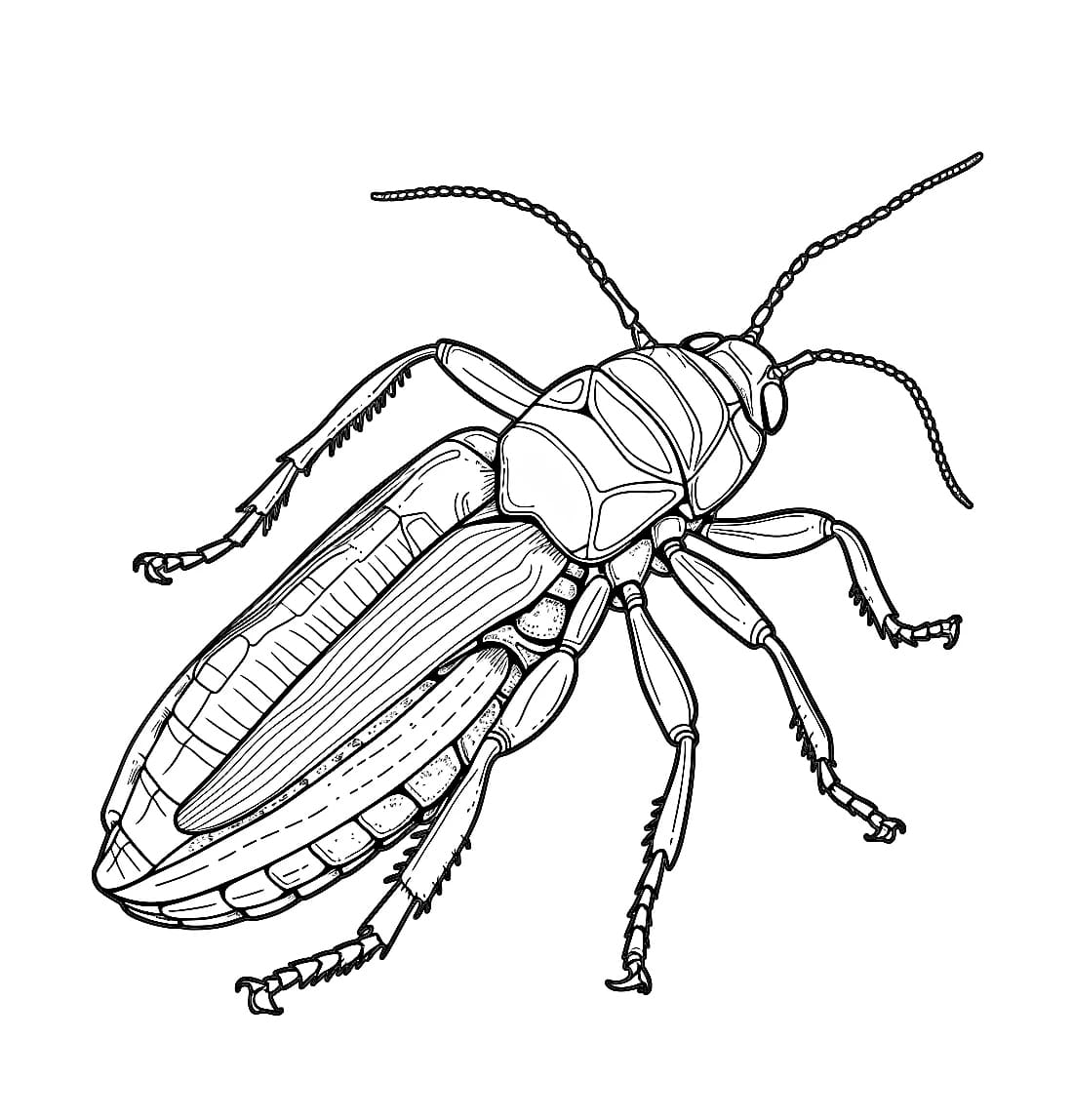 ระบายสี แมลงสาบ ฟรีและสามารถพิมพ์ได้