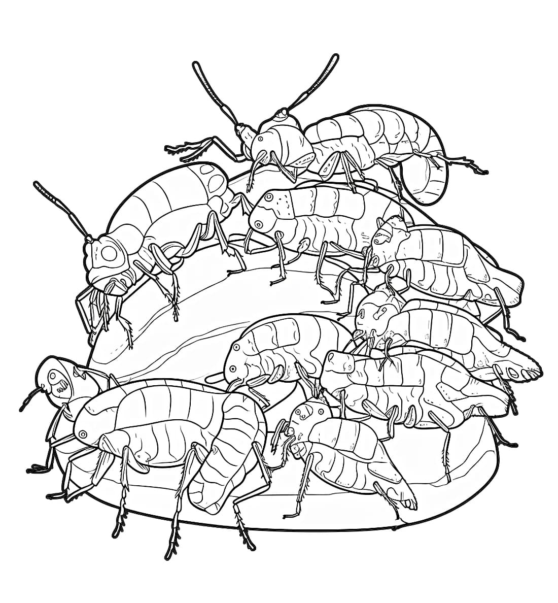 ระบายสี แมลงสาบถูกกิน