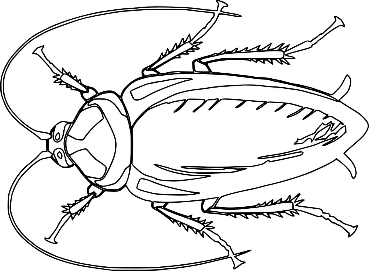 ระบายสี แมลงสาบว่างเปล่า