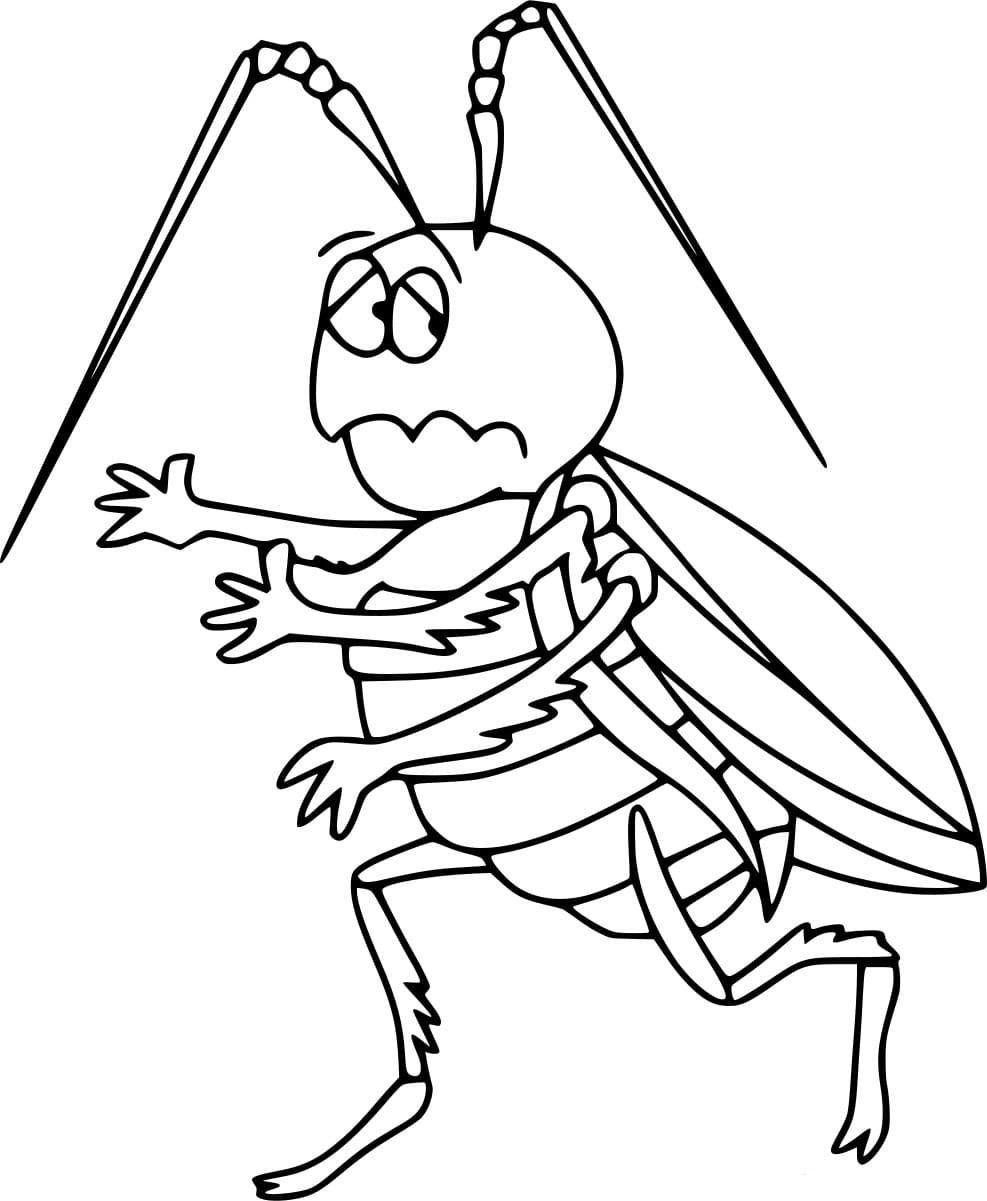 ระบายสี แมลงสาบวิ่ง