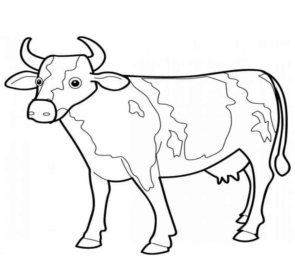 ระบายสี ภาพพิมพ์รูปสัตว์ วัว