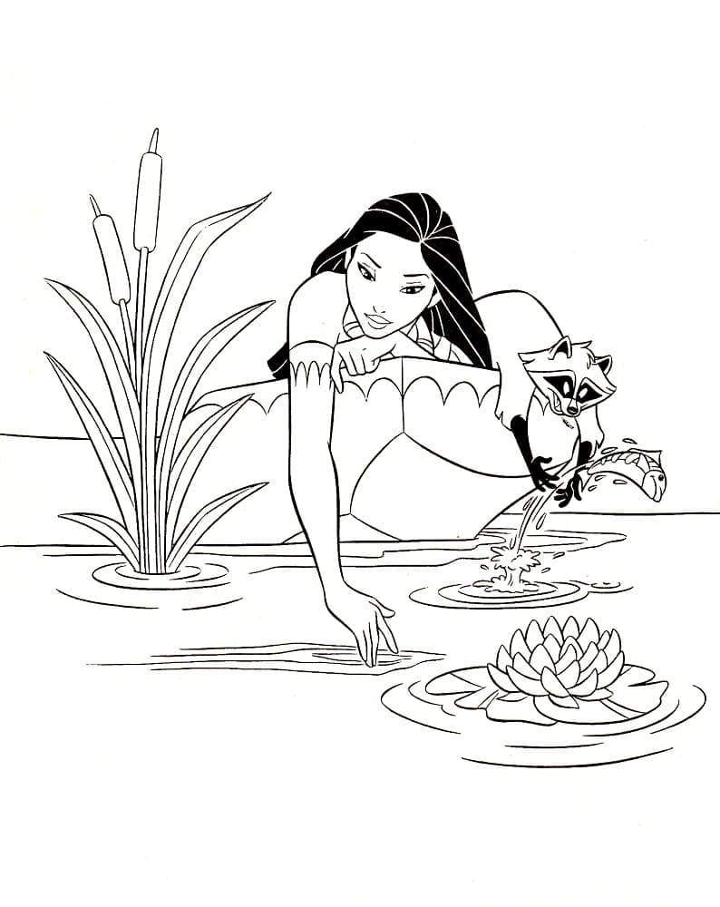 ระบายสี โพคาฮอนทัสและมีโก้