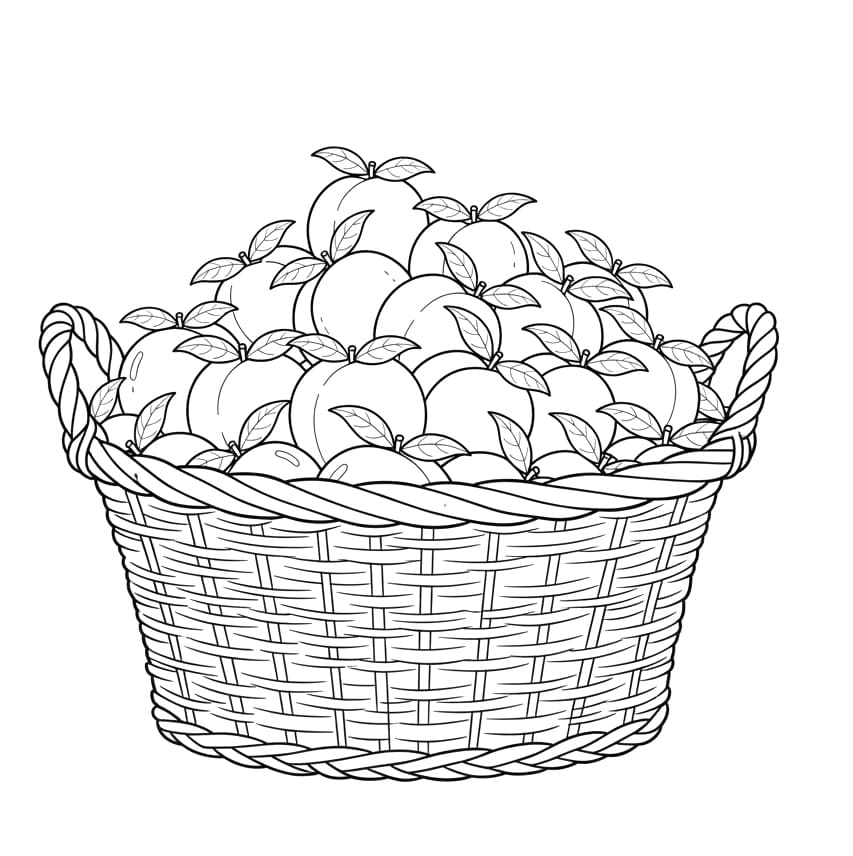 ระบายสี ลายพิมพ์ลูกพีชสำหรับเด็ก ฟรี