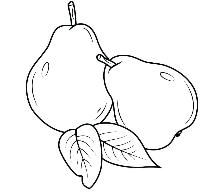 ระบายสี ลูกแพร์สองลูก