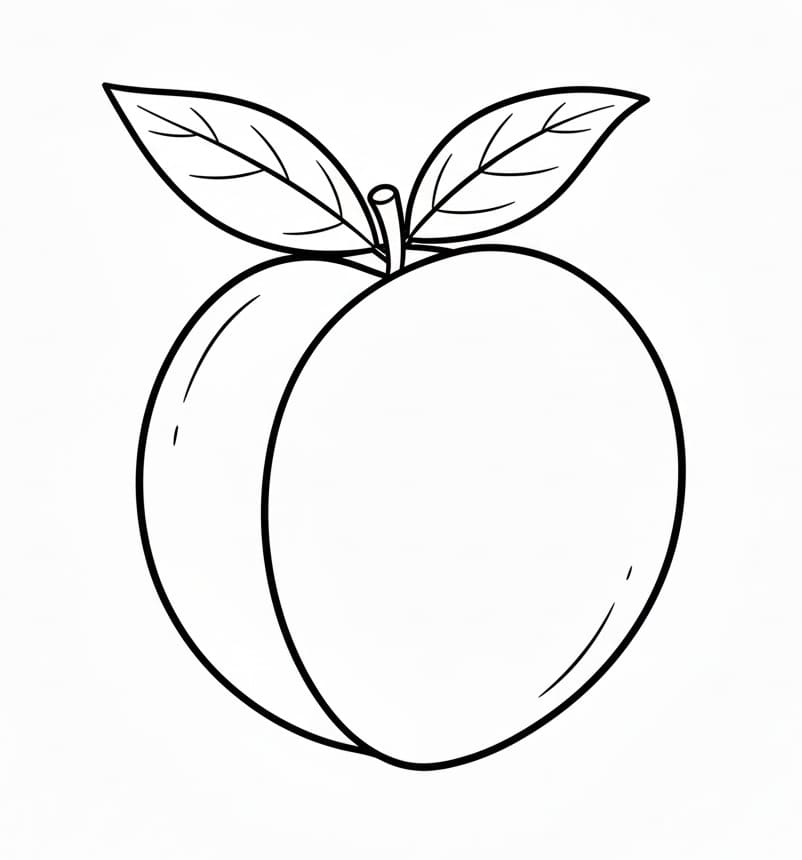 ระบายสี ลูกพีชฟรี ทำง่าย