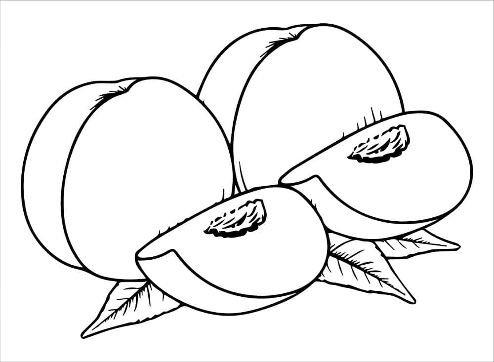 ระบายสี ลูกพีชสำหรับเด็กฟรี