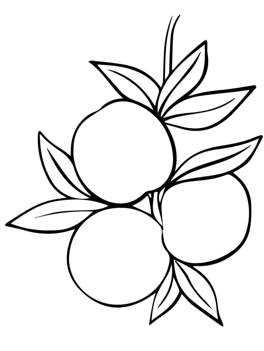 ระบายสี ลูกพีชสามลูก